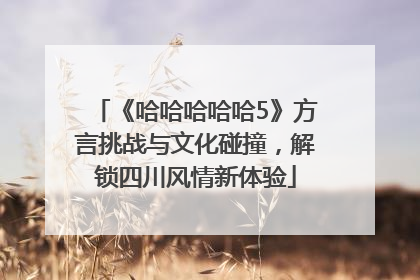 《哈哈哈哈哈5》方言挑战与文化碰撞，解锁四川风情新体验
