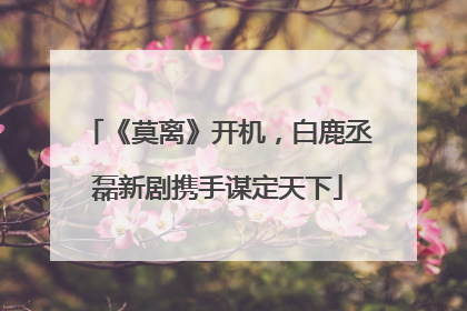 《莫离》开机，白鹿丞磊新剧携手谋定天下