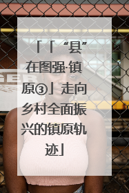 「“县”在图强·镇原③」走向乡村全面振兴的镇原轨迹