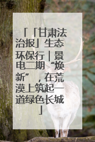 「甘肃法治报」生态环保行｜景电二期“焕新”，在荒漠上筑起一道绿色长城