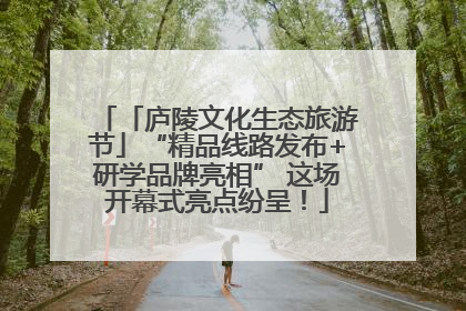 「庐陵文化生态旅游节」“精品线路发布+研学品牌亮相” 这场开幕式亮点纷呈！
