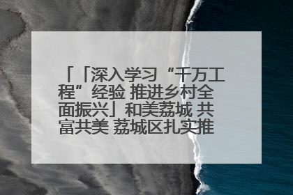 「深入学习“千万工程”经验 推进乡村全面振兴」和美荔城 共富共美 荔城区扎实推进乡村振兴工作
