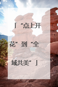 “点上开花”到“全域共美”