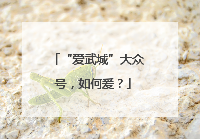 “爱武城”大众号，如何爱？