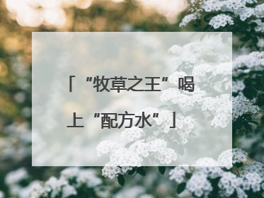 “牧草之王”喝上“配方水”