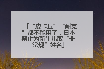 “皮卡丘”“耐克”都不能用了，日本禁止为新生儿取“非常规”姓名
