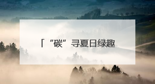 “碳”寻夏日绿趣，“全国低碳日”烟台主场活动举行