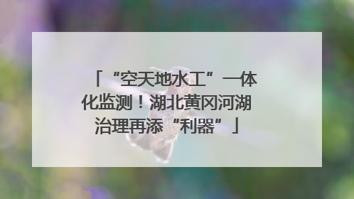 “空天地水工”一体化监测！湖北黄冈河湖治理再添“利器”