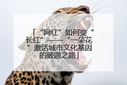 “网红”如何变“长红”——“一朵花”激活城市文化基因的破题之路