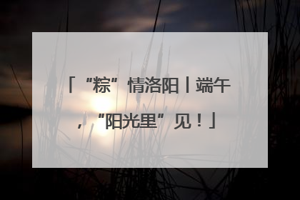 “粽”情洛阳丨端午，“阳光里”见！