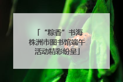 “粽香”书海 株洲市图书馆端午活动精彩纷呈