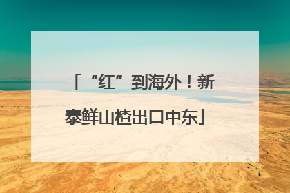 “红”到海外！新泰鲜山楂出口中东
