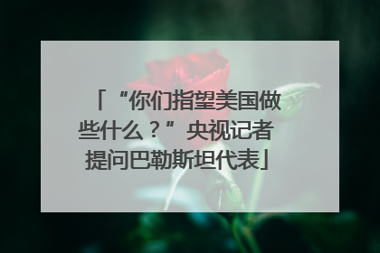 “你们指望美国做些什么？”央视记者提问巴勒斯坦代表