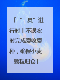 “三夏”进行时丨不误农时完成夏收夏种，确保小麦颗粒归仓