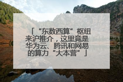 “东数西算”枢纽来沪推介，这里竟是华为云、腾讯和网易的算力“大本营”
