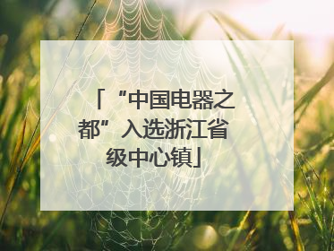 “中国电器之都”入选浙江省级中心镇