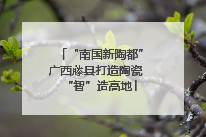 “南国新陶都”广西藤县打造陶瓷“智”造高地