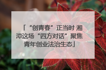 “创青春”正当时 湘潭这场“四方对话”聚焦青年创业法治生态