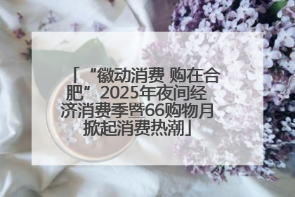 “徽动消费 购在合肥”2025年夜间经济消费季暨66购物月掀起消费热潮
