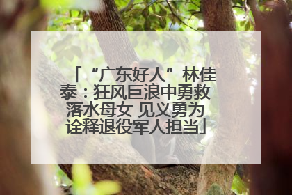 “广东好人”林佳泰：狂风巨浪中勇救落水母女 见义勇为诠释退役军人担当
