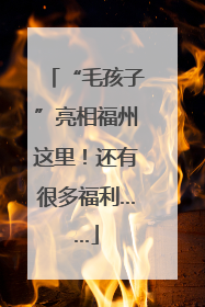 “毛孩子”亮相福州这里！还有很多福利……