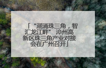 “潮涌珠三角，智汇龙江畔” 漳州高新区珠三角产业对接会在广州召开