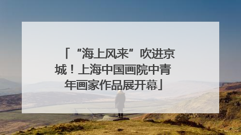 “海上风来”吹进京城！上海中国画院中青年画家作品展开幕