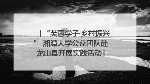 “芙蓉学子·乡村振兴” 湘潭大学公益团队赴龙山县开展实践活动
