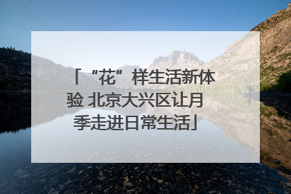 “花”样生活新体验 北京大兴区让月季走进日常生活