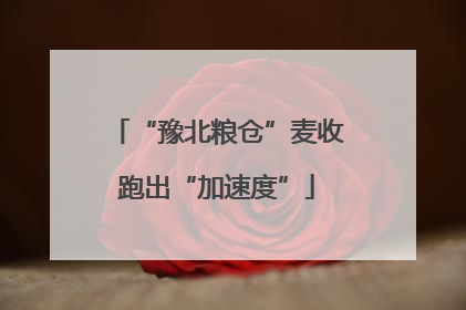 “豫北粮仓”麦收跑出“加速度”