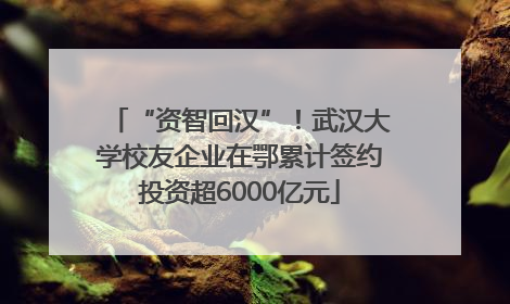 “资智回汉”！武汉大学校友企业在鄂累计签约投资超6000亿元
