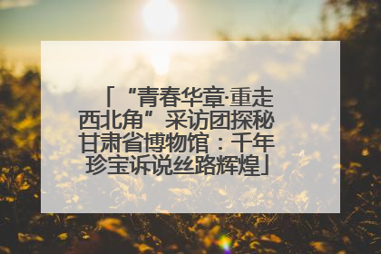 “青春华章·重走西北角”采访团探秘甘肃省博物馆：千年珍宝诉说丝路辉煌
