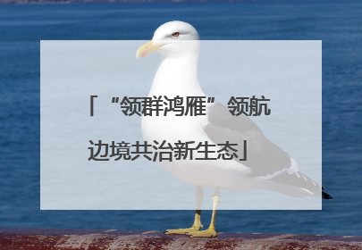 “领群鸿雁”领航边境共治新生态