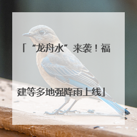 “龙舟水”来袭！福建等多地强降雨上线
