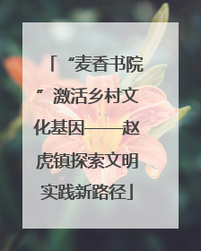 “麦香书院”激活乡村文化基因——赵虎镇探索文明实践新路径