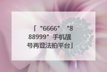 “6666”“888999”手机靓号再登法拍平台
