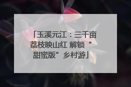 玉溪元江：三千亩荔枝映山红 解锁“甜蜜版”乡村游