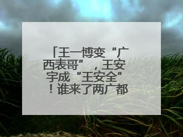 王一博变“广西表哥”，王安宇成“王安全”！谁来了两广都得“腌入味”