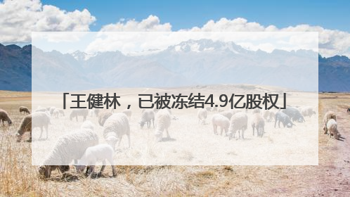 王健林，已被冻结4.9亿股权
