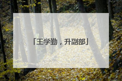 王学勤，升副部