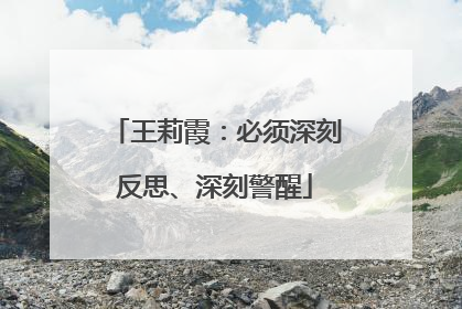 王莉霞：必须深刻反思、深刻警醒