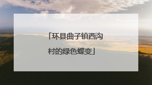 环县曲子镇西沟村的绿色蝶变