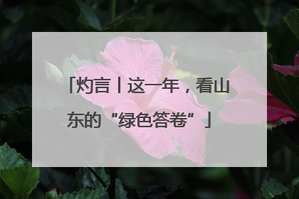灼言丨这一年，看山东的“绿色答卷”