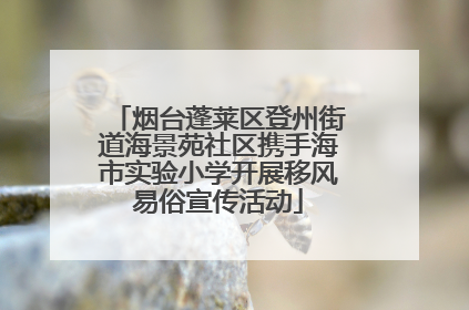 烟台蓬莱区登州街道海景苑社区携手海市实验小学开展移风易俗宣传活动