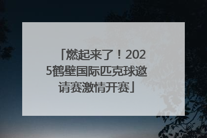 燃起来了！2025鹤壁国际匹克球邀请赛激情开赛