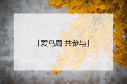 爱鸟周 共参与