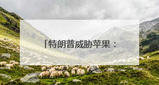 特朗普威胁苹果：不在美制造，就缴至少25%关税