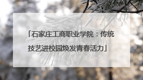 石家庄工商职业学院：传统技艺进校园焕发青春活力