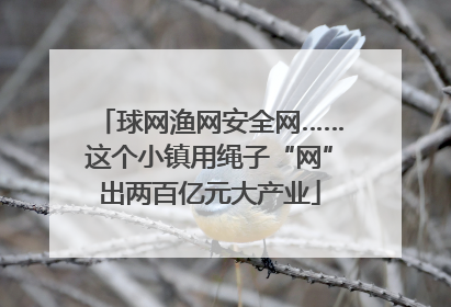 球网渔网安全网……这个小镇用绳子“网”出两百亿元大产业