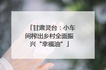甘肃灵台：小车间榨出乡村全面振兴“幸福油”